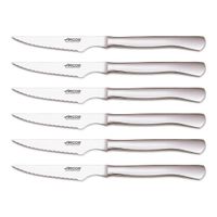 Coffret de 6 couteaux à steak lame microdentée - Visuel 1
